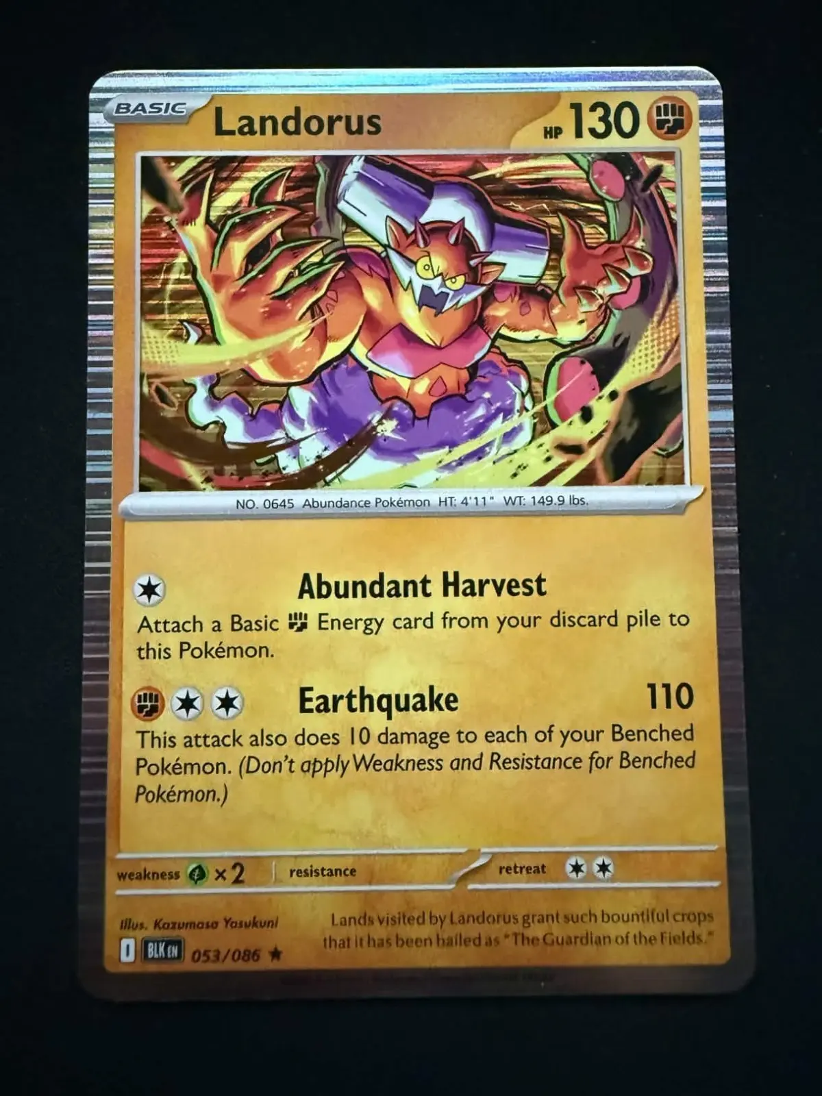 [Binder Condition] Landorus #53 Pokemon Black Bolt