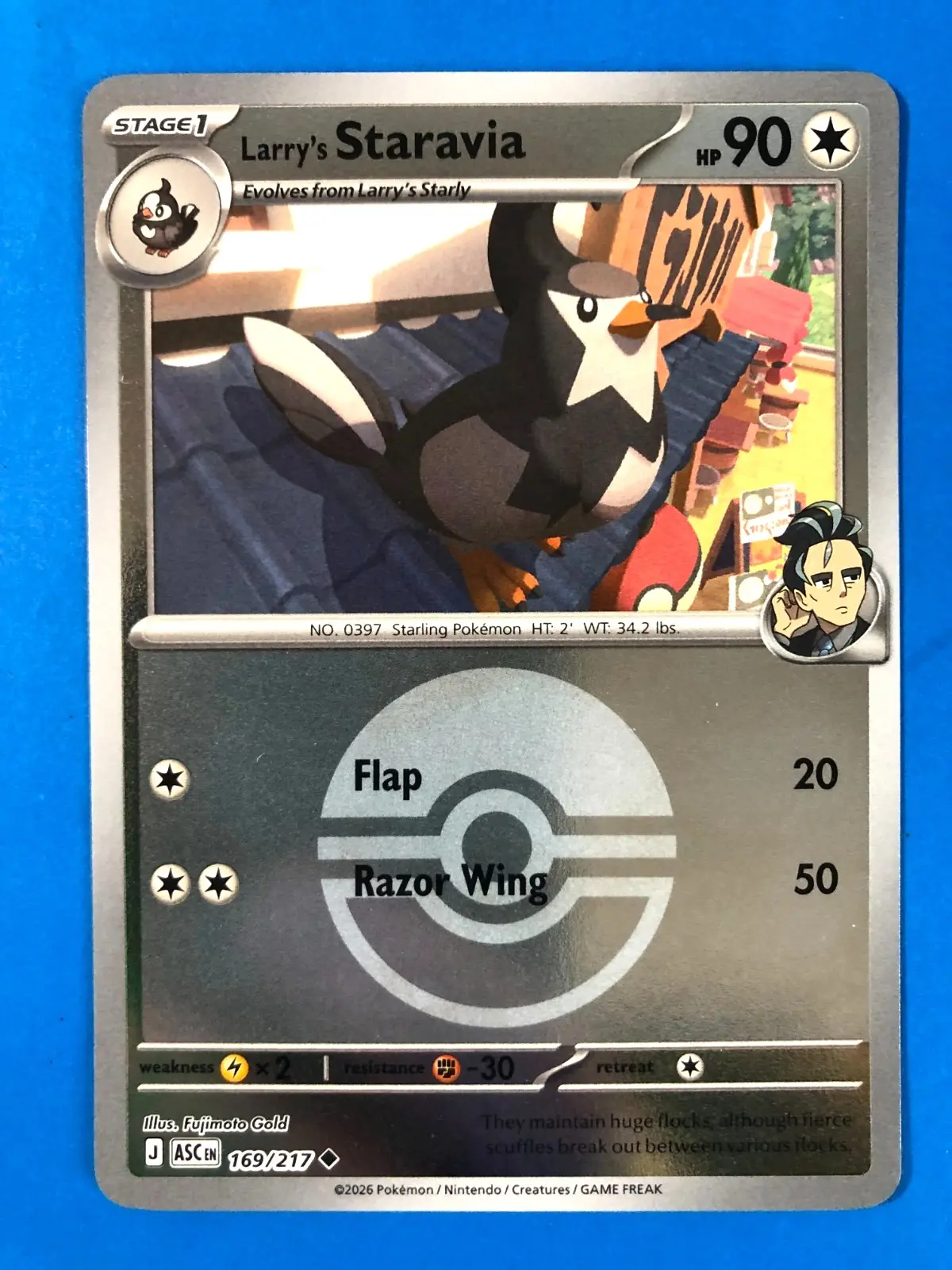 [Binder Condition] Larry's Staravia [Ball] #169 Pokemon Ascended Heroes
