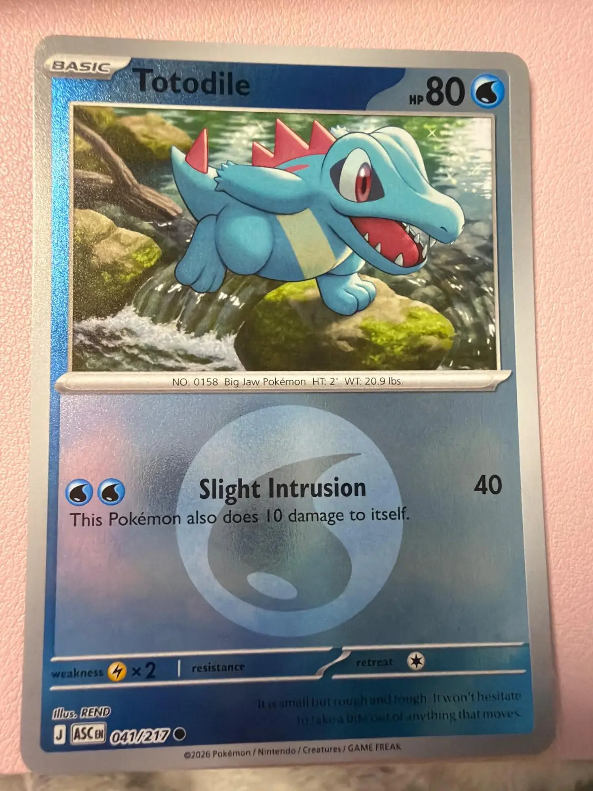 [Binder Condition] Totodile [Energy] #41 Pokemon Ascended Heroes