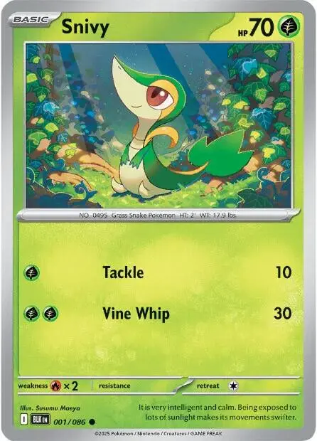 [Binder Condition] Snivy #1 Pokemon Black Bolt