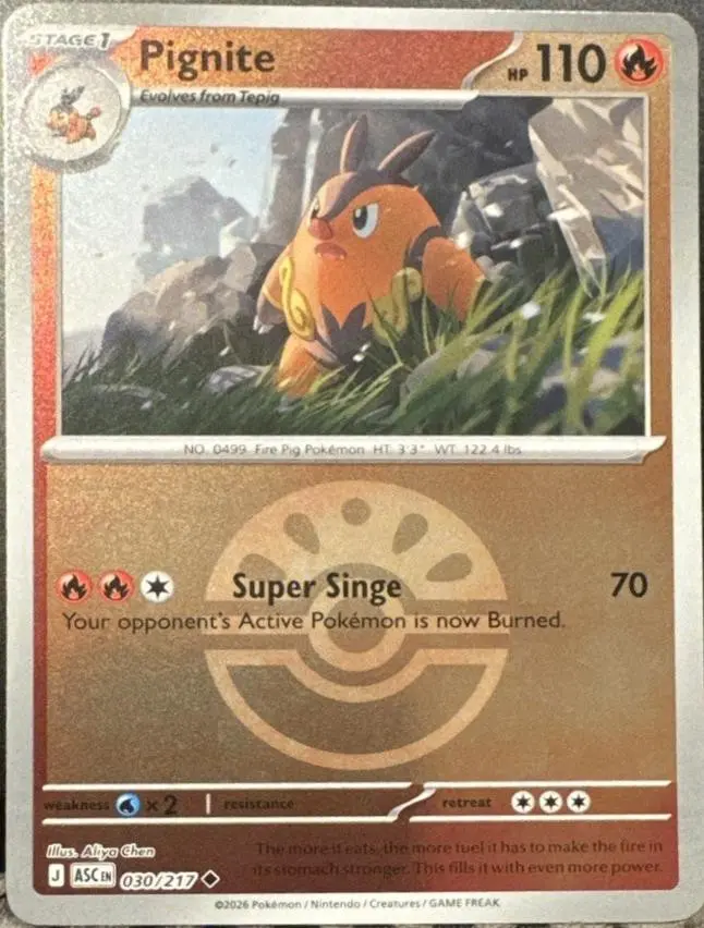 [Binder Condition] Pignite [Ball] #30 Pokemon Ascended Heroes