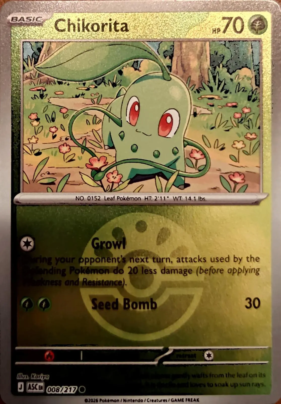 [Binder Condition] Chikorita [Ball] #8 Pokemon Ascended Heroes