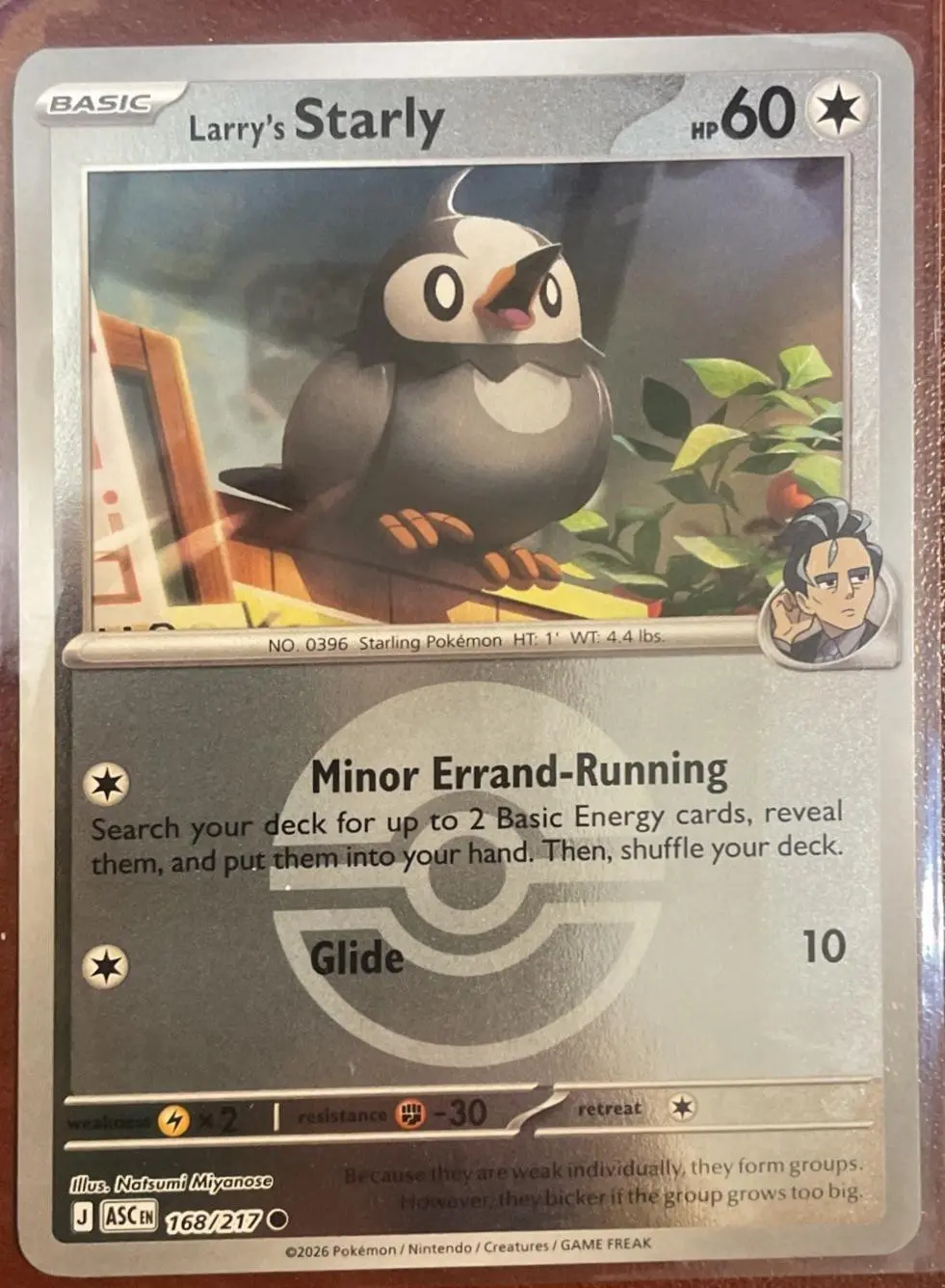 [Binder Condition] Larry's Starly [Ball] #168 Pokemon Ascended Heroes