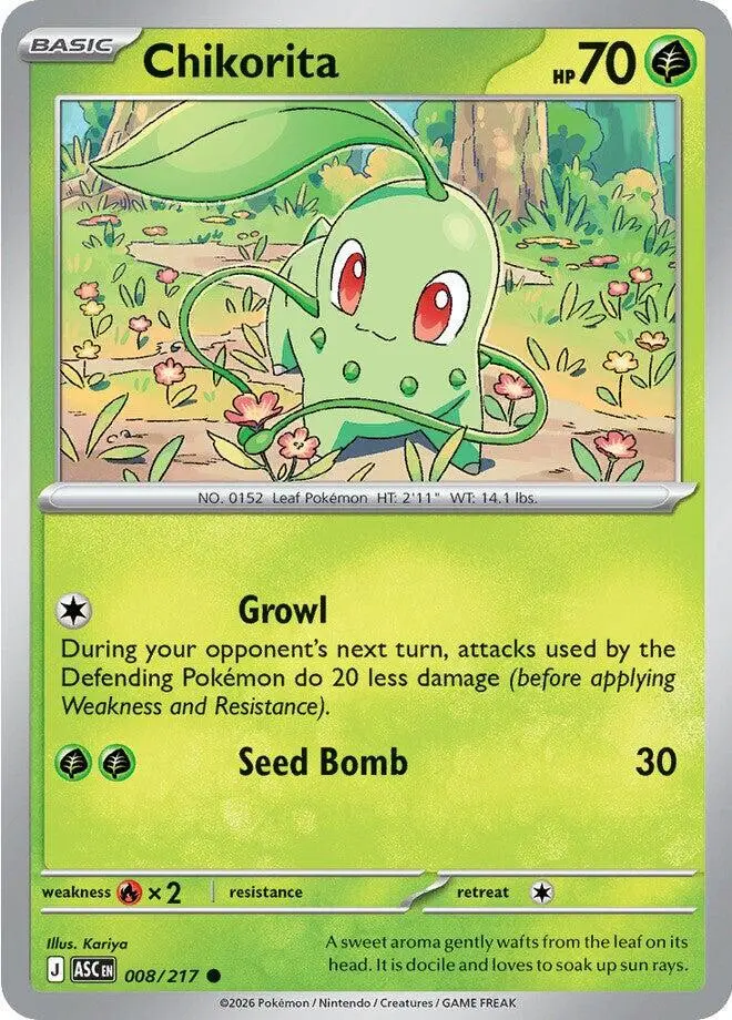 [Binder Condition] Chikorita #8 Pokemon Ascended Heroes