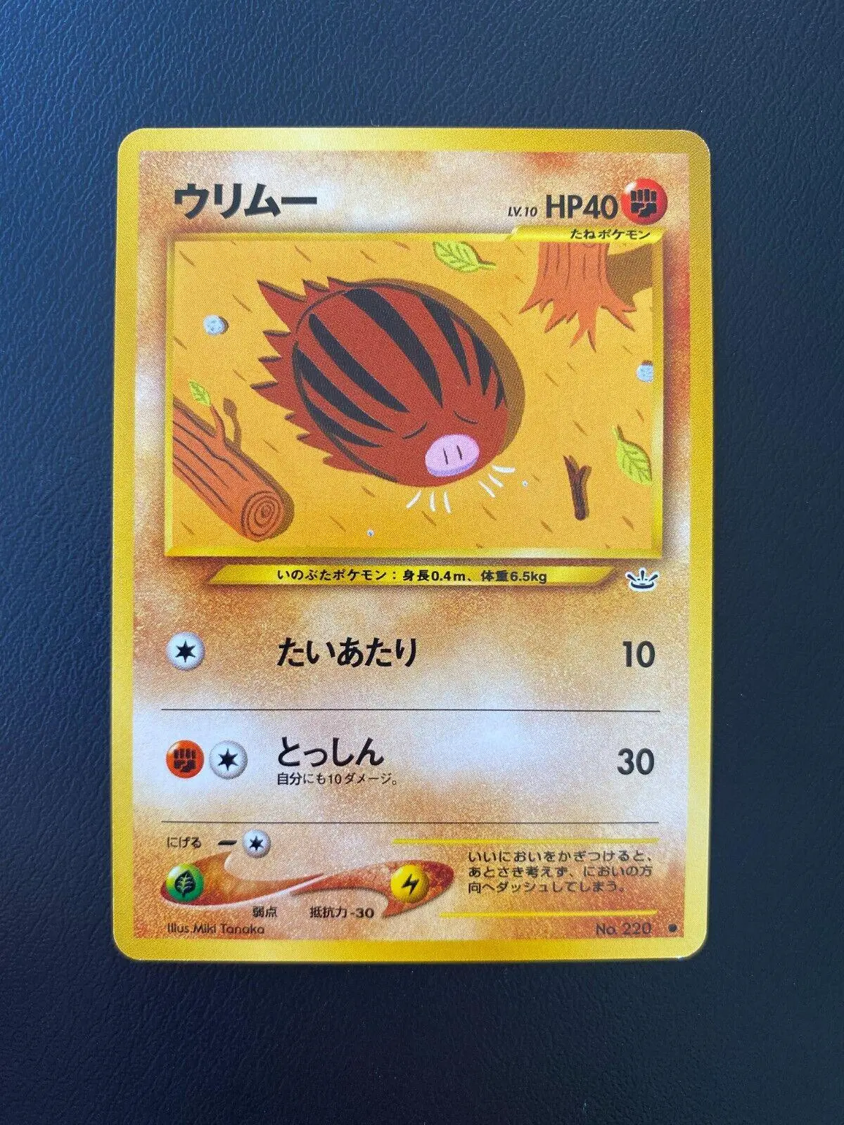 [Damaged] Swinub Pokemon Japanese Awakening Legends