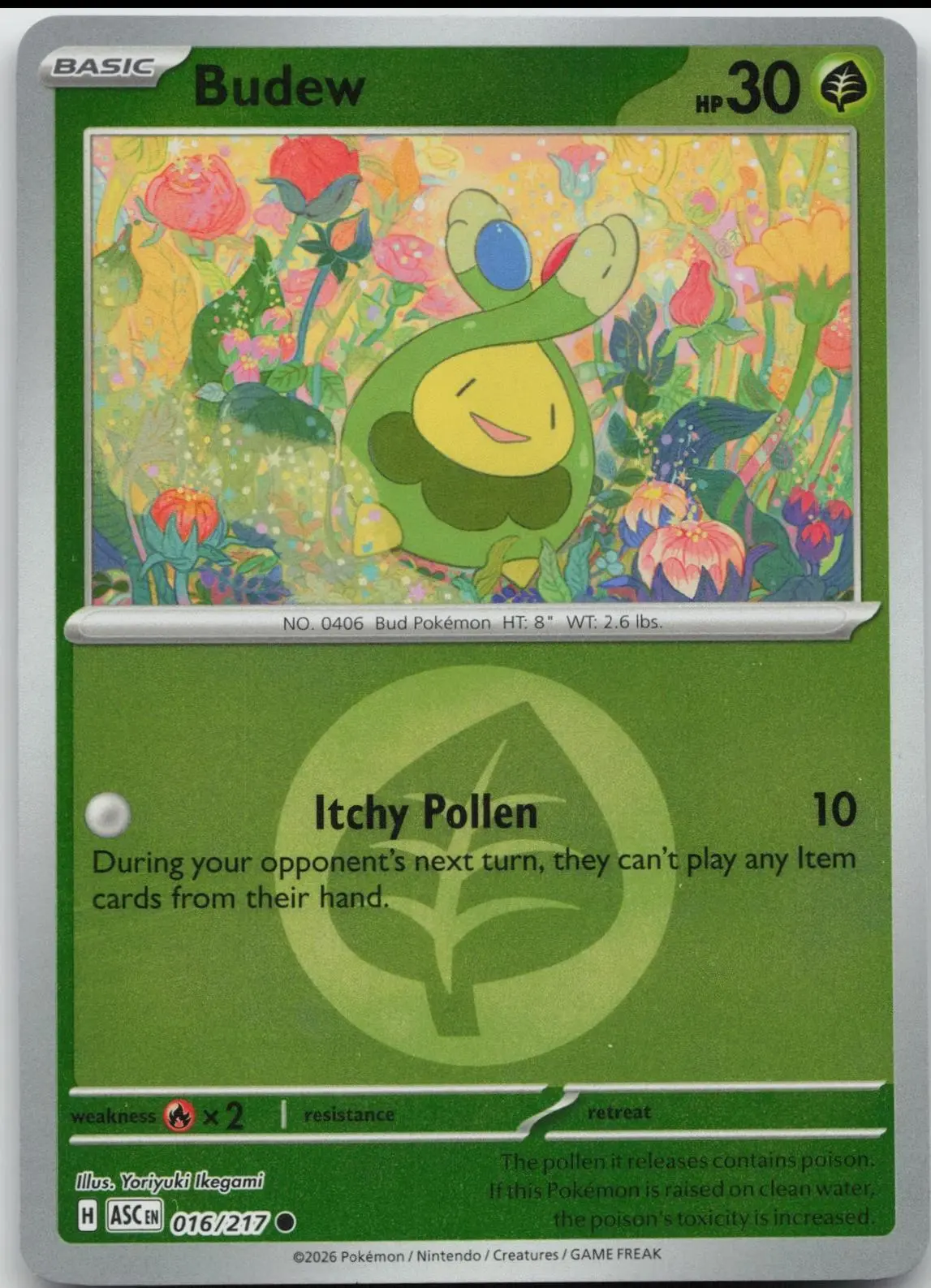 [Binder Condition] Budew [Energy] #16 Pokemon Ascended Heroes